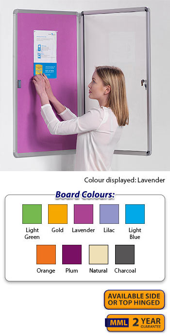 Accents Flameshield Tamperproof Noticeboard - Single Door