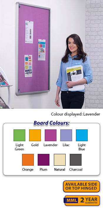 Accents Tamperproof Noticeboard - Single Door