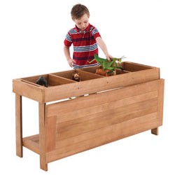 Living Classroom Wooden Sorting Table And Lid