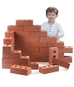 Foam Bricks (50Pk)