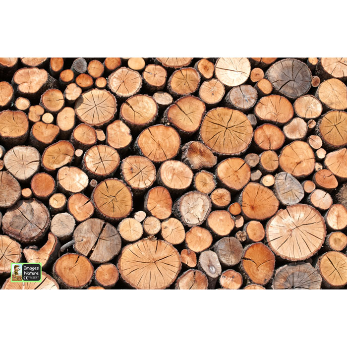 Logs Playmat - 1.5m x 1m