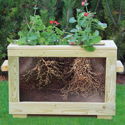 Outdoor Watch Me Grow Planter