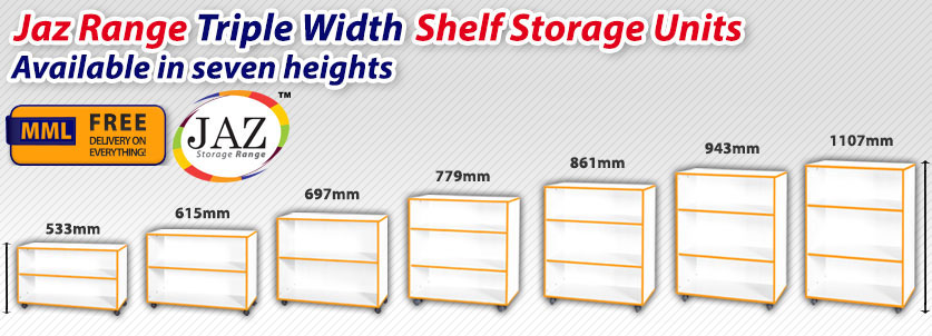 Triple Width Shelf Unit Frag