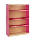 Book Cupboard with 2 Adjustable Shelves & 1 Fixed Centre Shelf (Height: 1268mm) - view 2