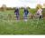 A Frames (4Pk)  - view 1