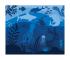 Marine Rug - (Coming in September)  - view 2
