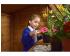 Childrens Potting Shed - view 6