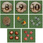 Woodland Set Of 35 Counting Mini Placement Carpets With Holdall - view 5