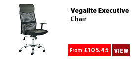 Vegalite Executive Chair